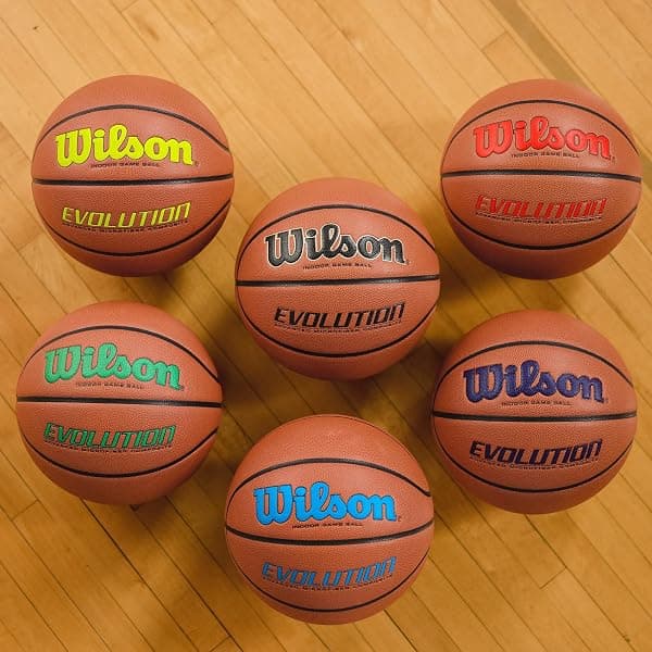 Wilson Evolution Indoor Basketball, Size 6 — view 4 of 4