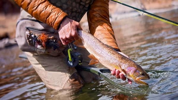 Scientific Anglers Absolute Fluoro Tippet, 5X, 30 m — view 3 of 4