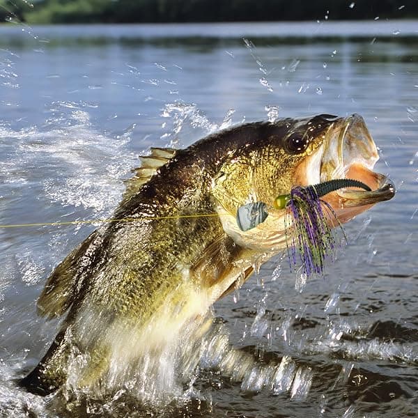 MadBite Bladed Jigs, 5-Pack, 3/8 oz — view 4 of 4
