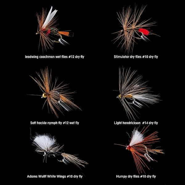 Goture Fly Assortment, 30 Flies, Dry and Wet — view 2 of 4
