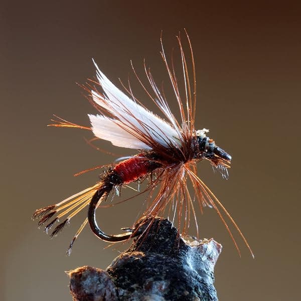 Goture Fly Assortment, 30 Flies, Dry and Wet — view 4 of 4