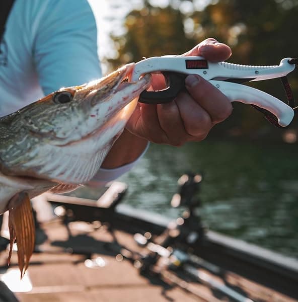 Rapala Floating Fish Gripper, 6 in — view 2 of 3